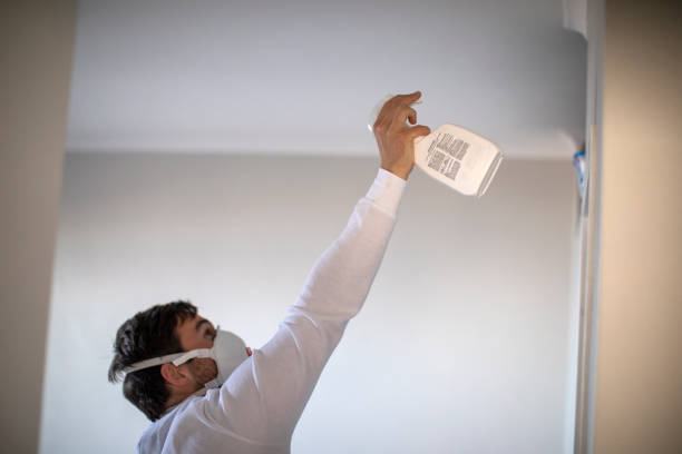 Best Mold Removal Near Me  in Troy, TX