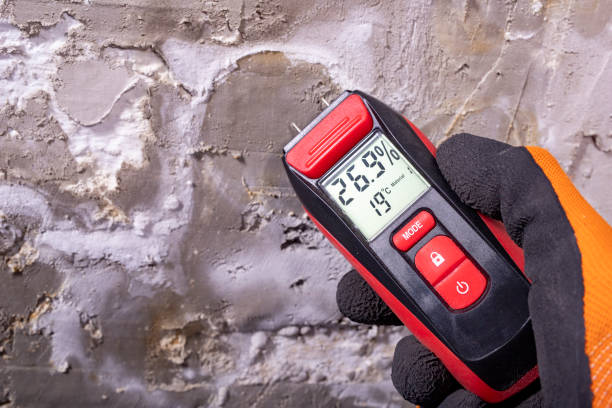 Mold Removal and Inspection in Troy, TX