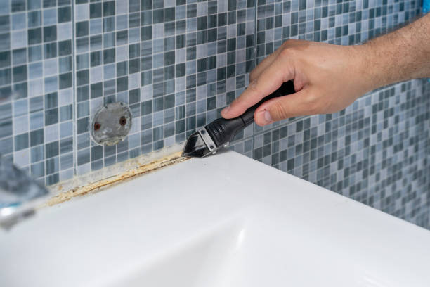 Best Office Mold Removal Services  in Troy, TX